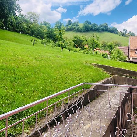 Hotel Poenita Sighişoara Dış mekan fotoğraf
