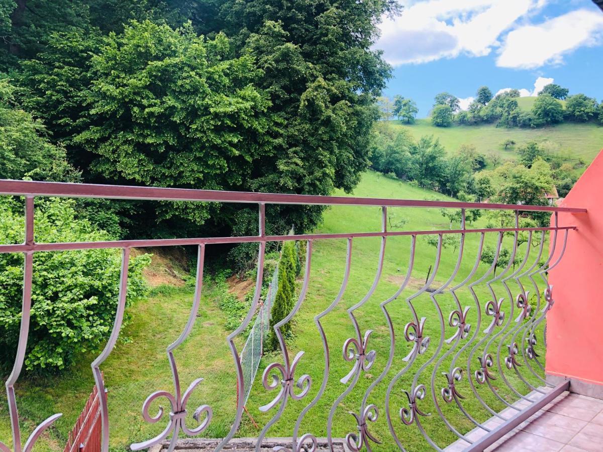 Hotel Poenita Sighişoara Dış mekan fotoğraf